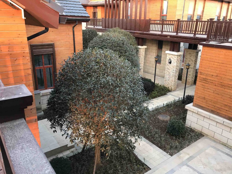 20171216_img_1572 拷貝.jpg