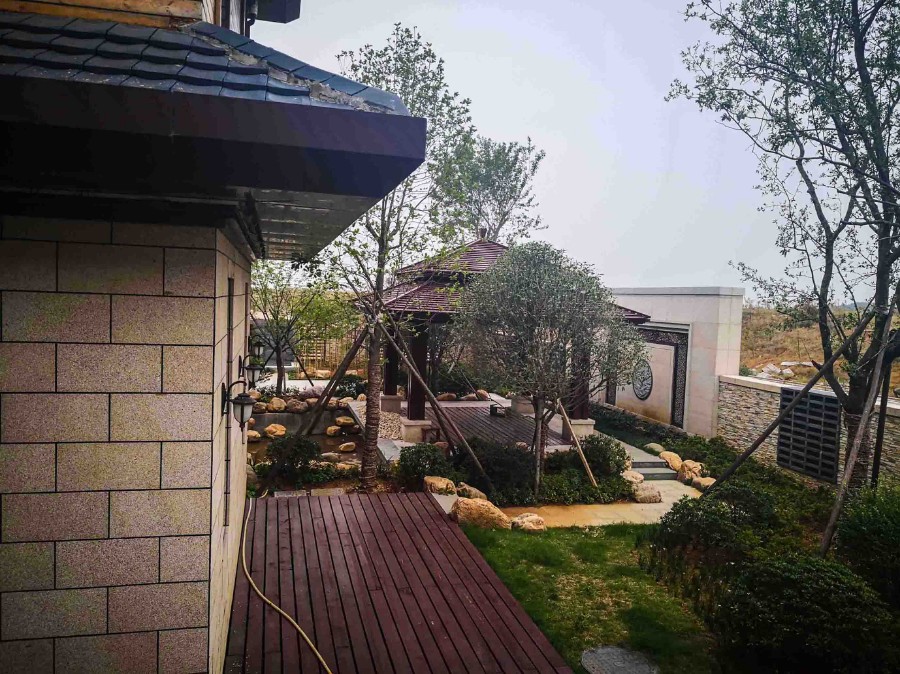 img_20181008_115654 拷貝.jpg