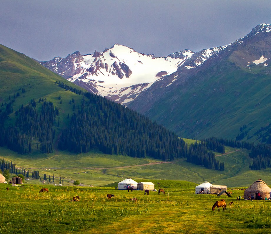 生態(tài)系統健康和管理——生態(tài)系統健康的管理原則、評估要點(diǎn)和指標