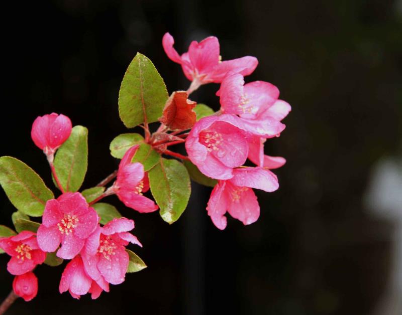 微信圖片_20210105094128.jpg 微信圖片_20210105094128.jpg