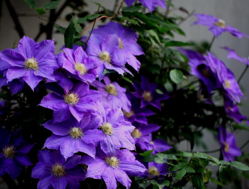 微信圖片_20210106154502.jpg 微信圖片_20210106154502.jpg