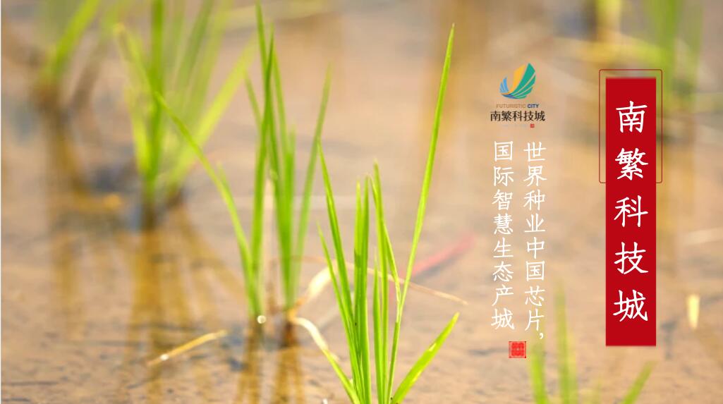 QQ截圖20220805083411.jpg QQ截圖20220805083411.jpg